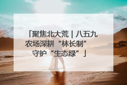 聚焦北大荒｜八五九农场深耕“林长制” 守护“生态绿”