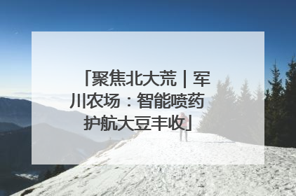 聚焦北大荒｜军川农场：智能喷药护航大豆丰收