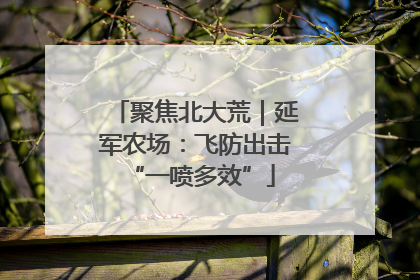 聚焦北大荒｜延军农场：飞防出击 “一喷多效”