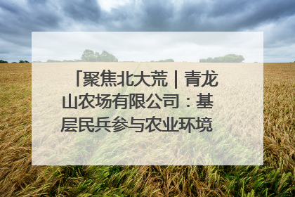 聚焦北大荒｜青龙山农场有限公司：基层民兵参与农业环境综合治理显效
