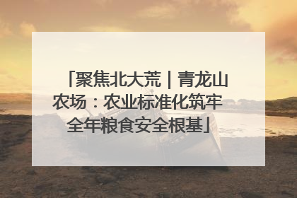 聚焦北大荒｜青龙山农场：农业标准化筑牢全年粮食安全根基