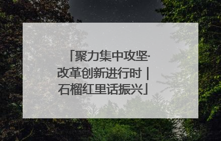 聚力集中攻坚·改革创新进行时｜石榴红里话振兴