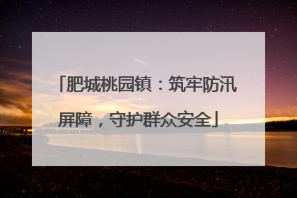 肥城桃园镇：筑牢防汛屏障，守护群众安全