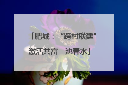 肥城：“跨村联建”激活共富一池春水