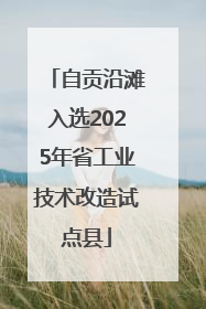 自贡沿滩入选2025年省工业技术改造试点县