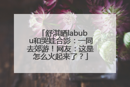 舒淇晒labubu和哭娃合影：一同去郊游！网友：这是怎么火起来了？