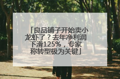 良品铺子开始卖小龙虾了？去年净利润下滑125%，专家称转型极为关键