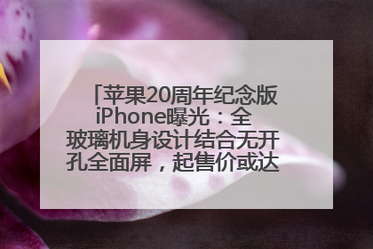 苹果20周年纪念版iPhone曝光：全玻璃机身设计结合无开孔全面屏，起售价或达1.45万人民币