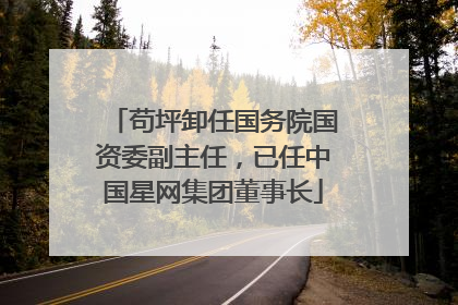 苟坪卸任国务院国资委副主任，已任中国星网集团董事长