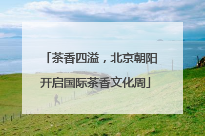 茶香四溢，北京朝阳开启国际茶香文化周