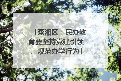 蒸湘区：民办教育要坚持党建引领、规范办学行为