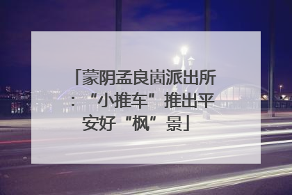 蒙阴孟良崮派出所：“小推车”推出平安好“枫”景