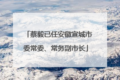 蔡毅已任安徽宣城市委常委、常务副市长