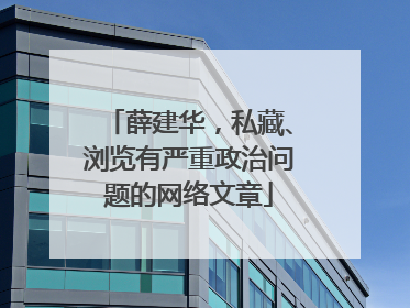 薛建华，私藏、浏览有严重政治问题的网络文章