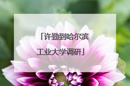 许勤到哈尔滨工业大学调研