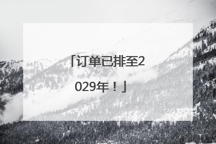 订单已排至2029年！