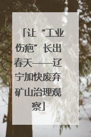 让“工业伤疤”长出春天——辽宁加快废弃矿山治理观察