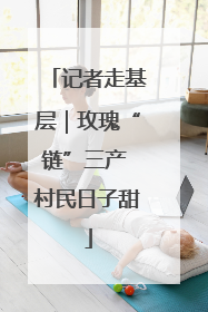 记者走基层｜玫瑰“链”三产 村民日子甜
