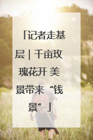 记者走基层｜千亩玫瑰花开 美景带来“钱景”