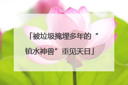 被垃圾掩埋多年的“镇水神兽”重见天日