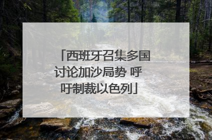 西班牙召集多国讨论加沙局势 呼吁制裁以色列