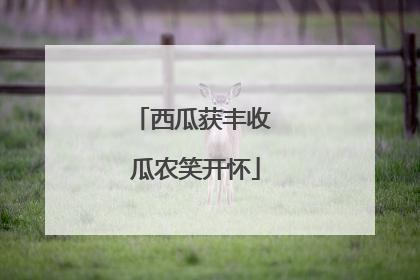 西瓜获丰收 瓜农笑开怀