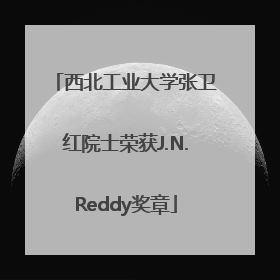 西北工业大学张卫红院士荣获J.N.Reddy奖章