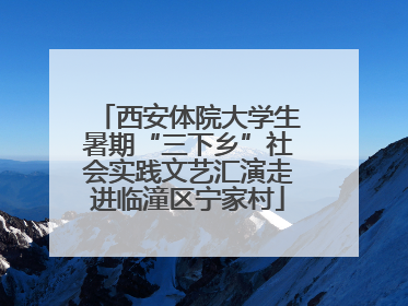西安体院大学生暑期“三下乡”社会实践文艺汇演走进临潼区宁家村