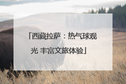 西藏拉萨：热气球观光 丰富文旅体验