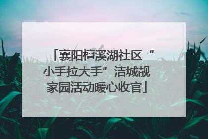 襄阳檀溪湖社区“小手拉大手”洁城靓家园活动暖心收官