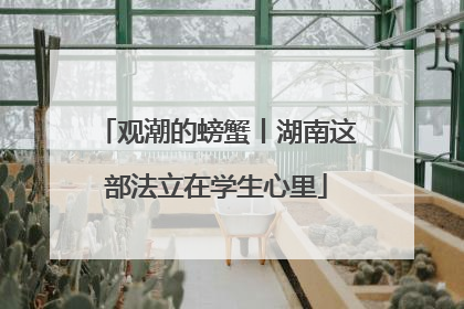观潮的螃蟹丨湖南这部法立在学生心里