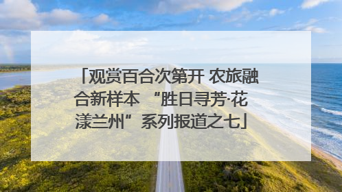 观赏百合次第开 农旅融合新样本 “胜日寻芳·花漾兰州”系列报道之七