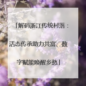 解码浙江传统村落：活态传承助力共富、数字赋能唤醒乡愁