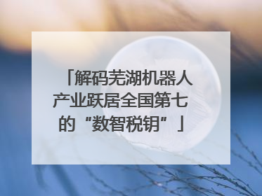 解码芜湖机器人产业跃居全国第七的“数智税钥”