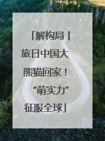 解构局丨旅日中国大熊猫回家！“萌实力”征服全球