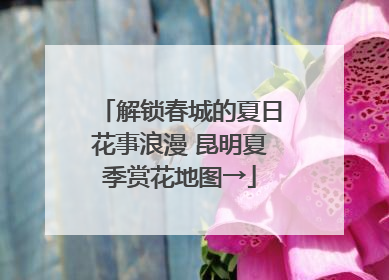 解锁春城的夏日花事浪漫 昆明夏季赏花地图→