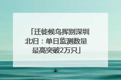 迁徙候鸟挥别深圳北归：单日监测数量最高突破2万只