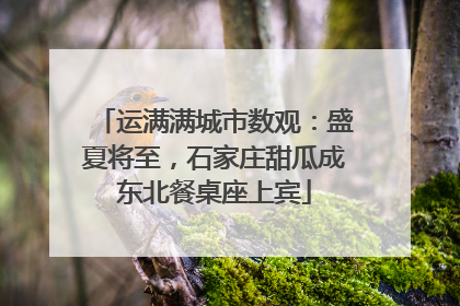 运满满城市数观：盛夏将至，石家庄甜瓜成东北餐桌座上宾