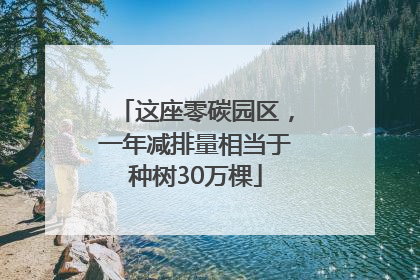 这座零碳园区，一年减排量相当于种树30万棵