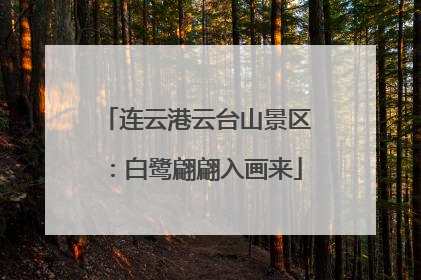 连云港云台山景区:白鹭翩翩入画来