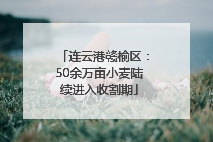 连云港赣榆区：50余万亩小麦陆续进入收割期