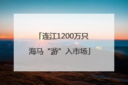 连江1200万只海马“游”入市场