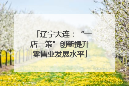 辽宁大连：“一店一策”创新提升零售业发展水平