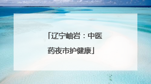 辽宁岫岩：中医药夜市护健康