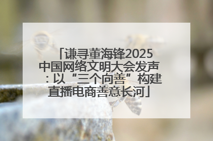 谦寻董海锋2025中国网络文明大会发声：以“三个向善”构建直播电商善意长河