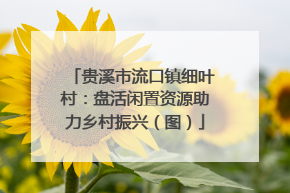 贵溪市流口镇细叶村：盘活闲置资源助力乡村振兴（图）