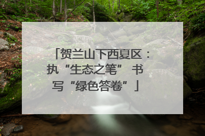 贺兰山下西夏区：执“生态之笔” 书写“绿色答卷”