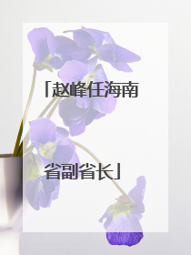 赵峰任海南省副省长