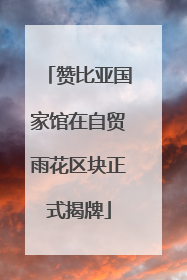 赞比亚国家馆在自贸雨花区块正式揭牌