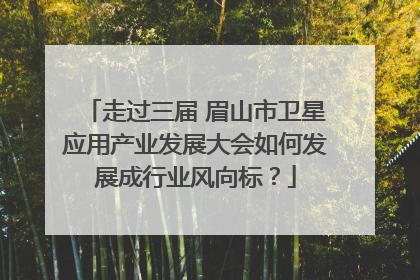 走过三届 眉山市卫星应用产业发展大会如何发展成行业风向标？